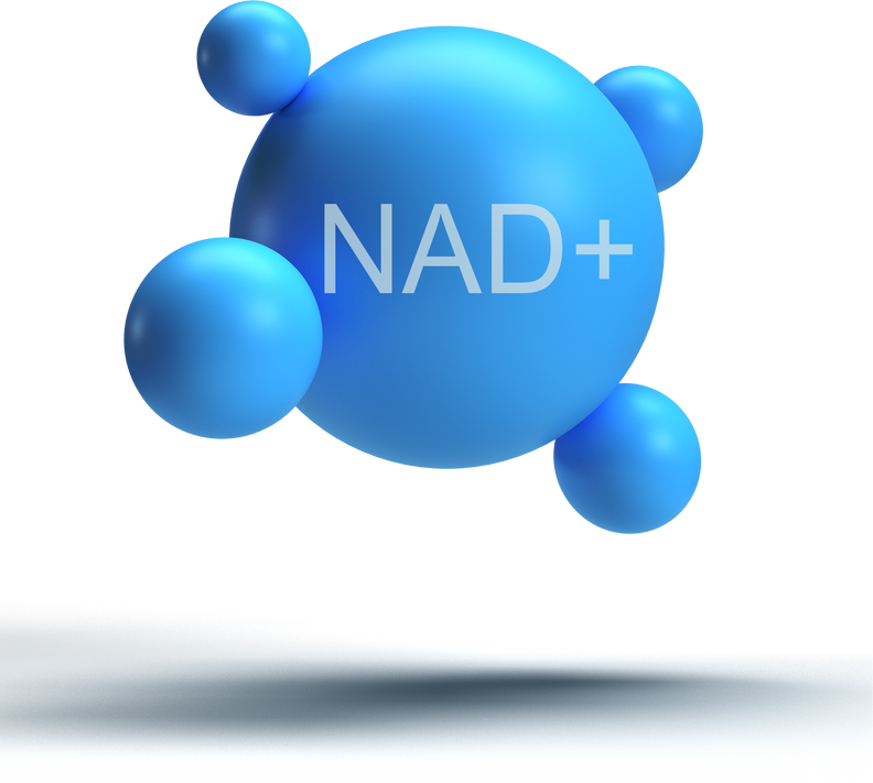 bubble ball blue color NAD+ chemistry molecular structure icon object nad formular vitamin phospate nicotinamide flat compound czech nadh adenine dinucleotide coenzy cell carbon oxygen nadp.3d render